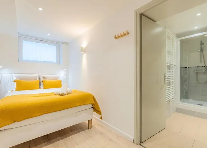 Renovated In Semi-basement & Hypercentre