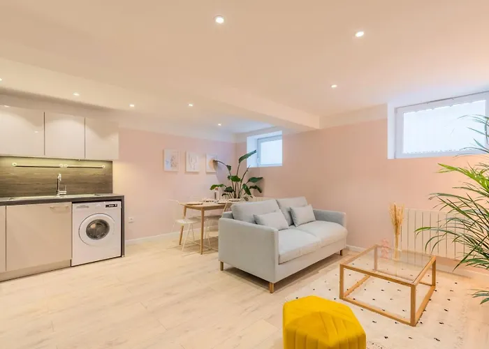 Renovated In Semi-basement & Hypercentre