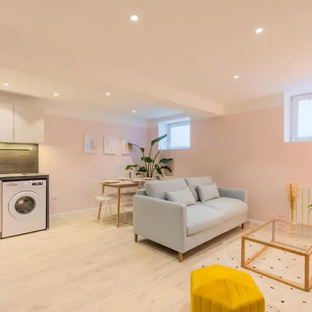 Renovated In Semi-basement & Hypercentre